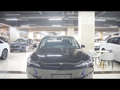 299 pk RWD Tesla EV Car Model Y pk lange afstand