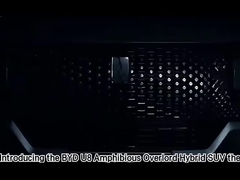 Reizigers Rechterhandsrijden Voertuigen BYD Dolphin Hatchback Auto